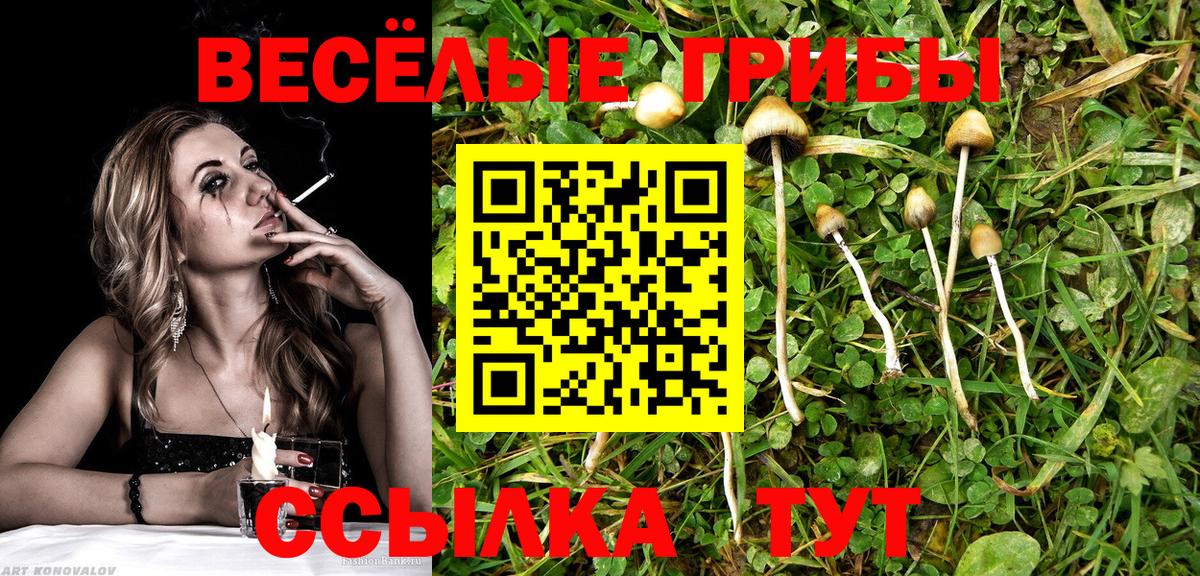 Галлюциногенные грибы GOLDEN TEACHER  Вход с VPN  Абакан 